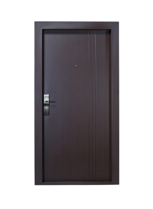 Steel Doors Variant 20
